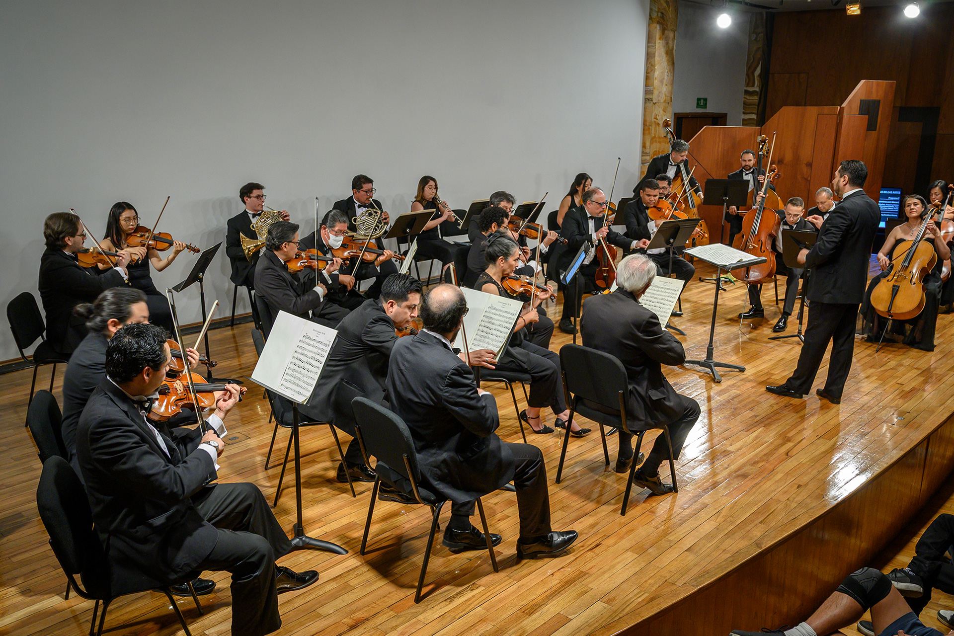 Orquesta de Cámara de Bellas Artes